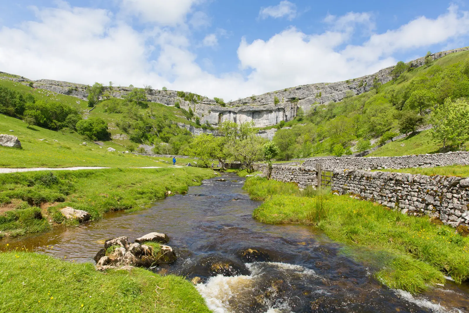 Scenic view of Malham Cove in Yorkshire Dales National Park, England, showing a limestone cliff and a flowing river surrounded by lush greenery.