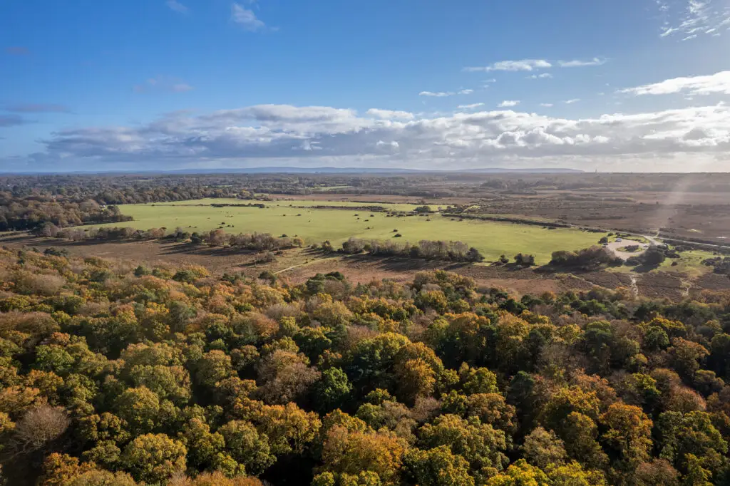 Drone aerial view of New Forest National Park in autumn, showcasing vast expanses of vibrant foliage and pasture in Hampshire, England.